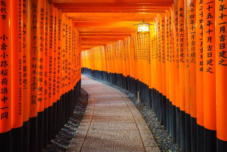 【日本 一人成團系列】京都奈良經典一日遊：金閣寺＆嵐山＆伏見稻荷大社＆奈良公園｜大阪難波・京都出發