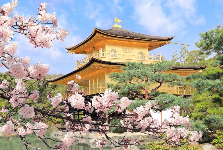 【京都世界遺產一日遊】金閣寺＆嵐山＆三十三間堂＆清水寺＆含美味豬肉涮涮鍋｜大阪難波・京都出發