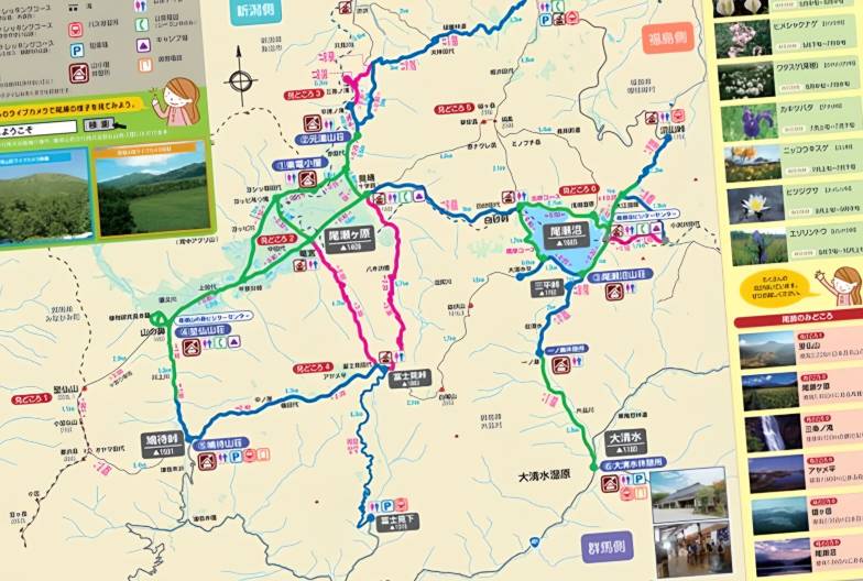 【夏季限定・夜間出發】尾瀨國立公園夜行健行｜清晨抵達・超長停留約9小時・回程溫泉 ｜新宿出發