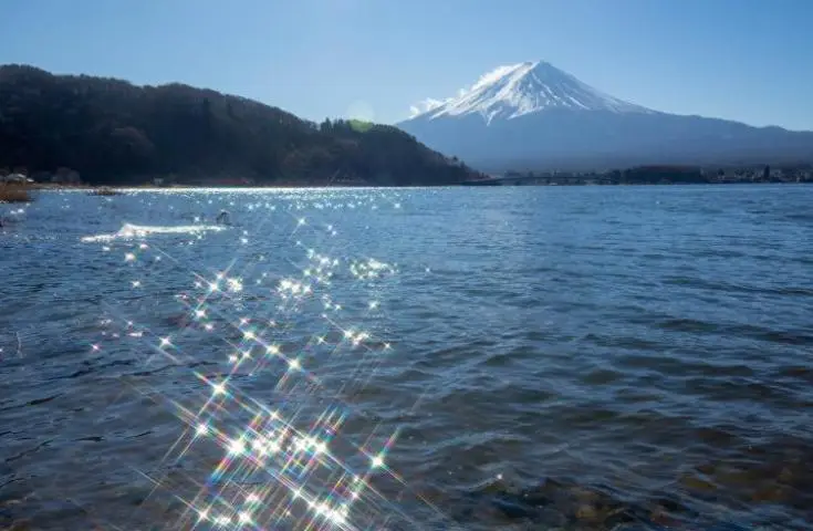 【日本 一人成團系列】新宿出發 富士河口湖、西湖合掌村、烏冬麵美食 1天團