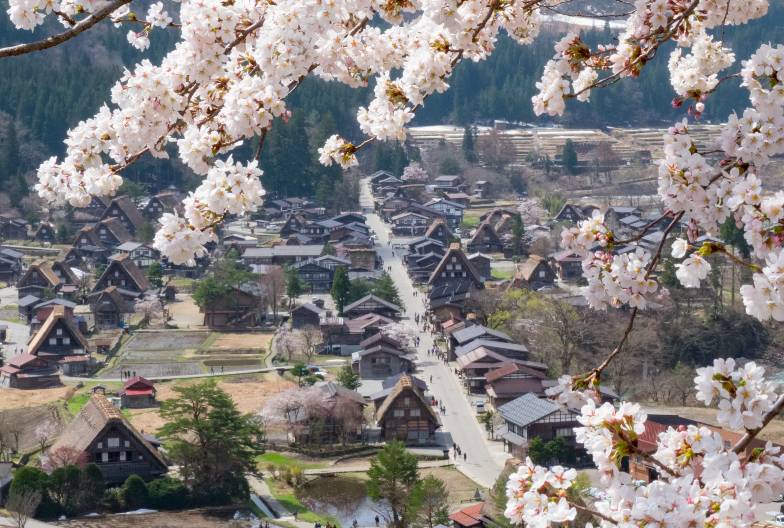 【日本 一人成團系列】高山白川鄉一日遊：漫步高山古街、探訪合掌村｜含暖心關東煮(素)｜名古屋出發