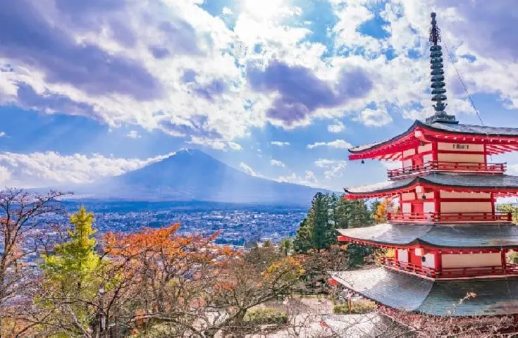 【日本 一人成團系列】新宿出發 富士河口湖、西湖合掌村、烏冬麵美食 1天團