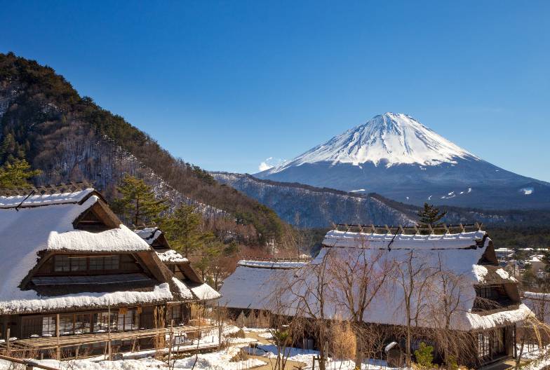 【日本 一人成團系列】富士山河口湖絕景一日遊：新倉山淺間公園＆大石公園＆西湖療癒之鄉 （含日本國產紅酒牛排）
