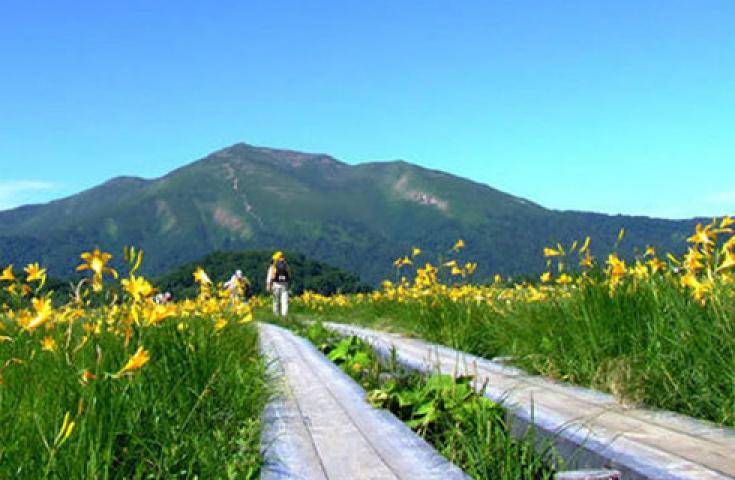 【夏季限定・夜間出發】尾瀨國立公園夜行健行｜清晨抵達・超長停留約9小時・回程溫泉 ｜新宿出發