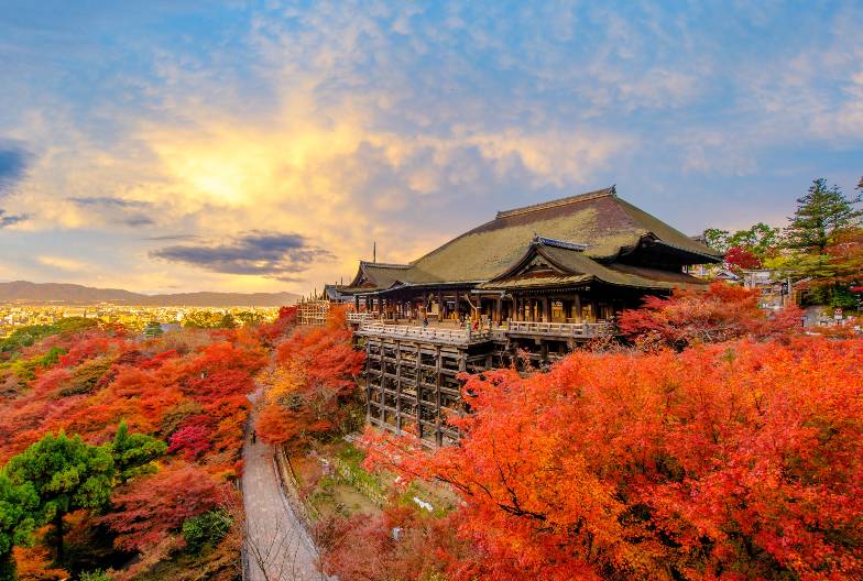 【京都世界遺產一日遊】金閣寺＆嵐山＆三十三間堂＆清水寺｜大阪難波・京都出發