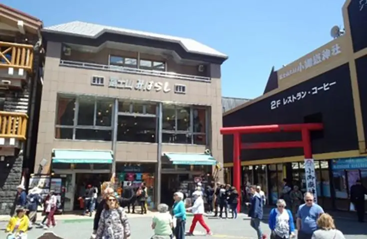 【日本 一人成團系列】新宿出發 富士山五合目、河口湖、忍野八海、御殿場Outlet、 甲州葡萄酒和牛美食 1天團