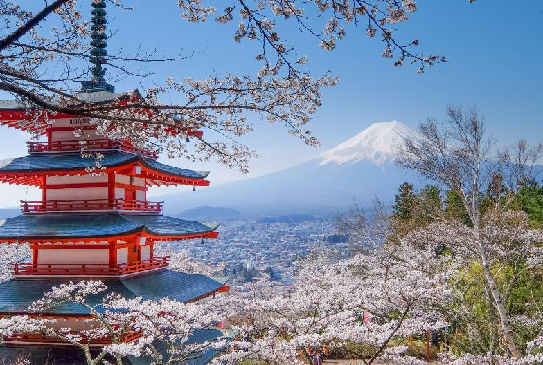 【日本 一人成團系列】富士山河口湖絕景一日遊：新倉山淺間公園＆大石公園＆西湖療癒之鄉