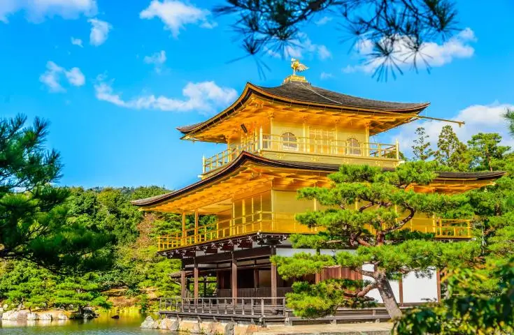 【日本 一人成團系列】京都、奈良【東大寺、金閣寺、嵐山】1天團
