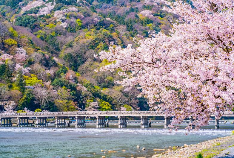 【京都世界遺產一日遊】金閣寺＆嵐山＆三十三間堂＆清水寺＆含美味豬肉涮涮鍋｜大阪難波・京都出發