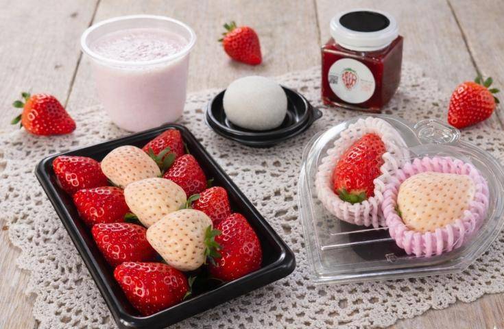 2026東京草莓巴士~附贈豪華草莓BOX♪ 敞篷頂座｜城市路線01O-5421-H1｜12:00發車