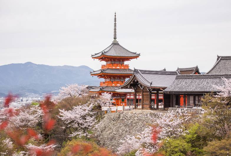 【京都世界遺產一日遊】金閣寺＆嵐山＆三十三間堂＆清水寺｜大阪難波・京都出發