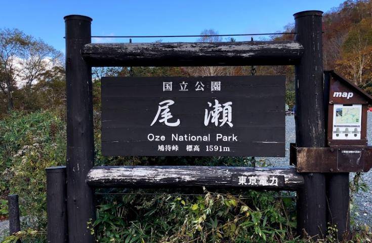 【夏季限定・夜間出發】尾瀨國立公園夜行健行｜清晨抵達・超長停留約9小時・回程溫泉 ｜新宿出發