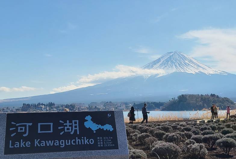 【日本 一人成團系列】富士山河口湖絕景一日遊：新倉山淺間公園＆大石公園＆西湖療癒之鄉 （含頂級神戶牛涮涮鍋）
