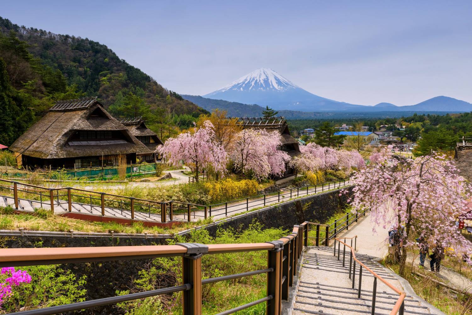 【日本 一人成團系列】富士山河口湖絕景一日遊：新倉山淺間公園＆大石公園＆西湖療癒之鄉 （含山梨名物餺飥）