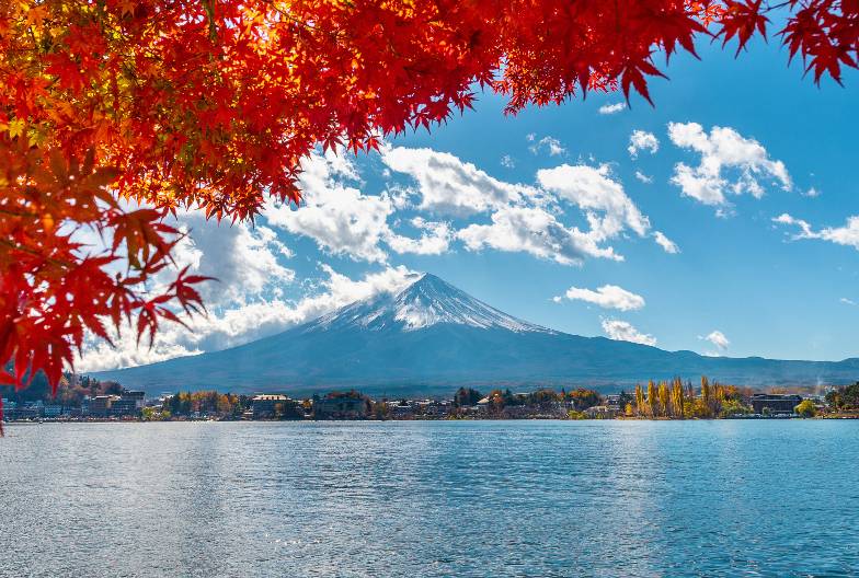 【日本 一人成團系列】富士山河口湖絕景一日遊：新倉山淺間公園＆大石公園＆西湖療癒之鄉 （含日本國產紅酒牛排）