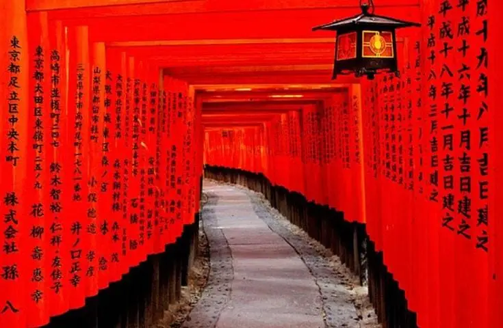 【日本 一人成團系列】京都、奈良【東大寺、金閣寺、嵐山】1天團