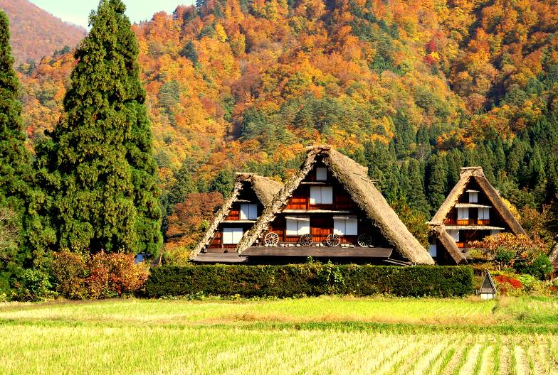 【日本 一人成團系列】高山白川鄉一日遊：漫步高山古街、探訪合掌村｜名古屋出發