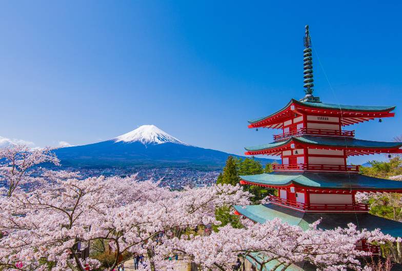 【日本 一人成團系列】富士山河口湖絕景一日遊：新倉山淺間公園＆大石公園＆西湖療癒之鄉 （含頂級神戶牛涮涮鍋）