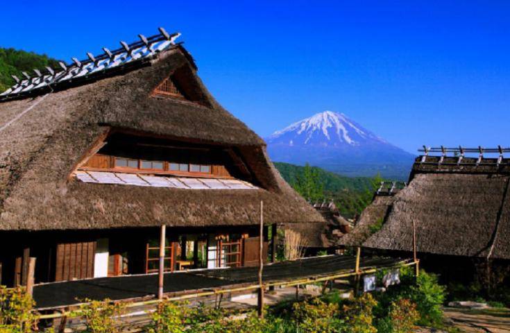【日本 一人成團系列】富士山河口湖絕景一日遊：新倉山淺間公園＆大石公園＆西湖療癒之鄉 （含習字體驗）・品川&新宿出發