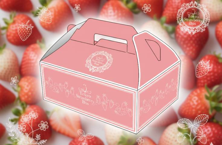 2026東京草莓巴士~附贈豪華草莓BOX♪ 敞篷頂座｜城市路線01O-5423-H1｜16:50發車