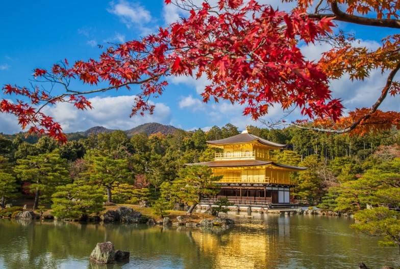 【京都世界遺產一日遊】金閣寺＆嵐山＆三十三間堂＆清水寺＆含頂級和牛神戶牛涮涮鍋｜大阪難波・京都出發