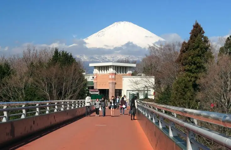 【日本 一人成團系列】新宿出發 富士山五合目、河口湖、忍野八海、御殿場Outlet、 甲州葡萄酒和牛美食 1天團