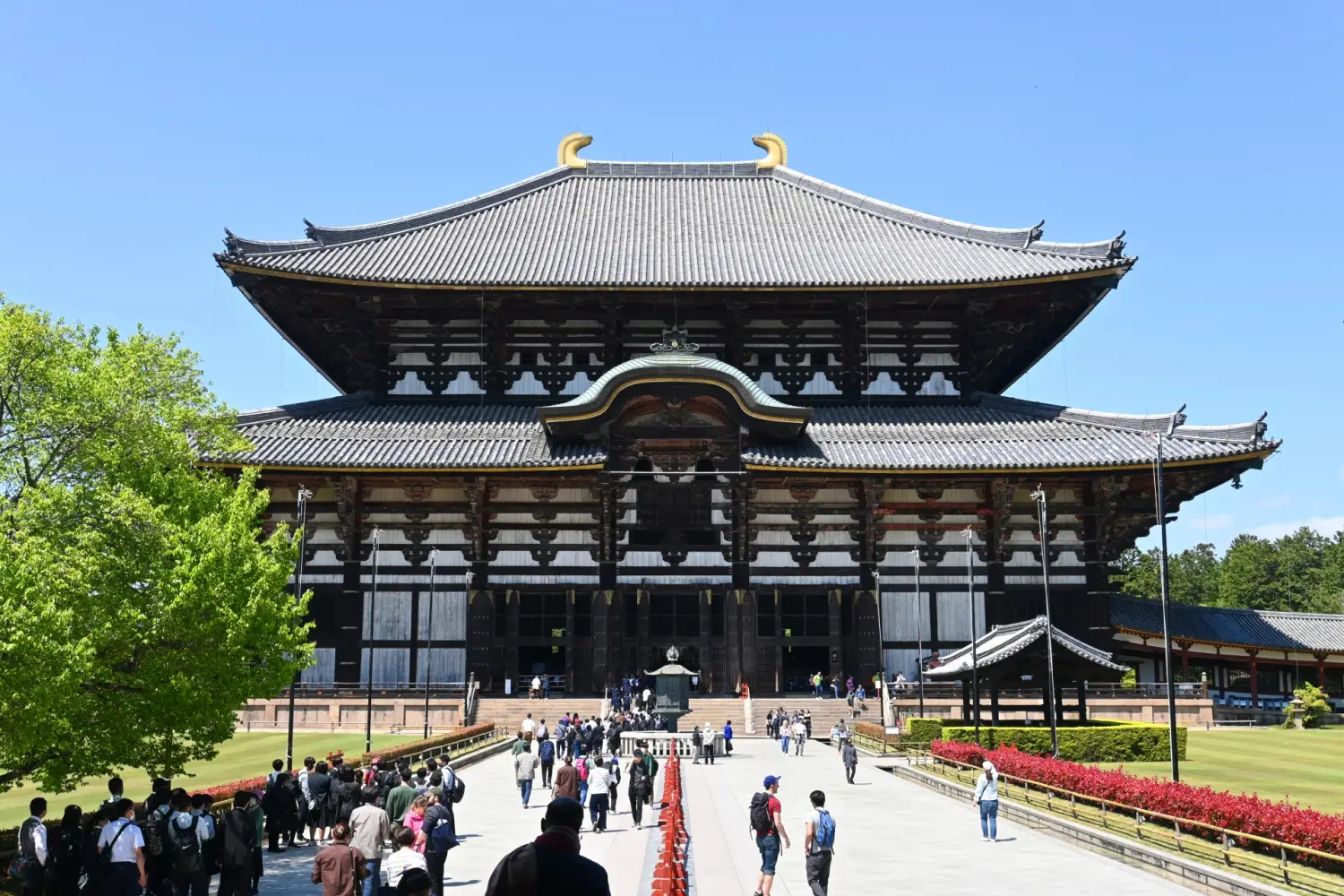 【日本 一人成團系列】京都、奈良【東大寺、金閣寺、嵐山】1天團
