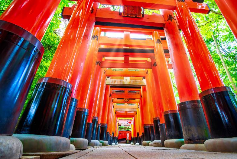 【日本 一人成團系列】京都奈良經典一日遊：金閣寺、嵐山、伏見稻荷、奈良公園｜含頂級和牛神戶牛涮涮鍋｜大阪出發